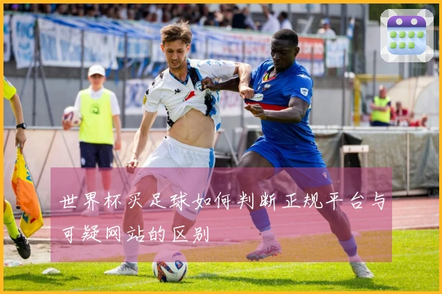 世界杯买足球如何判断正规平台与可疑网站的区别
