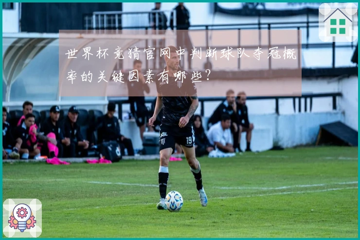 世界杯竞猜官网中判断球队夺冠概率的关键因素有哪些？
