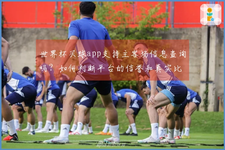 世界杯买球app支持主客场信息查询吗？如何判断平台的信誉和真实比分