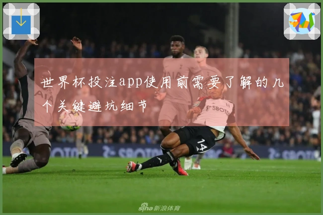 世界杯投注app使用前需要了解的几个关键避坑细节