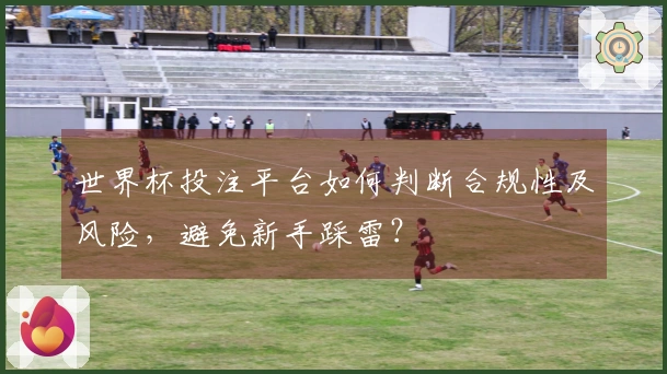 世界杯投注平台如何判断合规性及风险,避免新手踩雷?