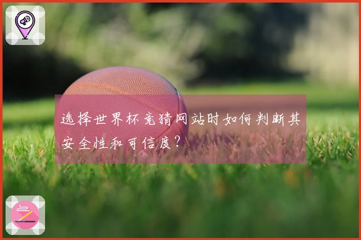 选择世界杯竞猜网站时如何判断其安全性和可信度？