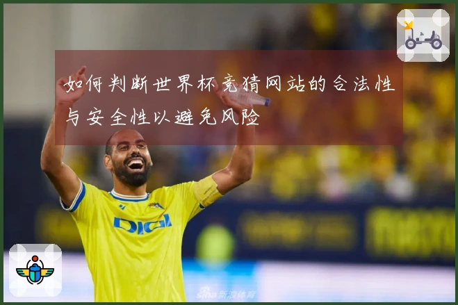如何判断世界杯竞猜网站的合法性与安全性以避免风险