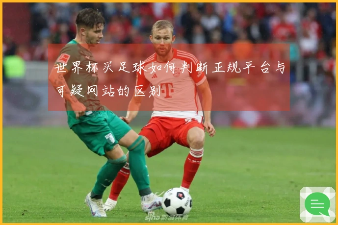 世界杯买足球如何判断正规平台与可疑网站的区别