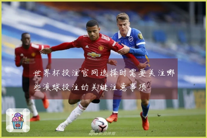 世界杯投注官网选择时需要关注哪些滚球投注的关键注意事项