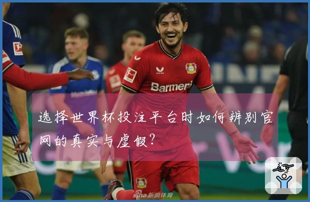 选择世界杯投注平台时如何辨别官网的真实与虚假？