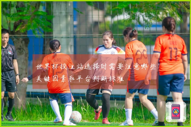 世界杯投注站选择时需要注意哪些关键因素和平台判断标准