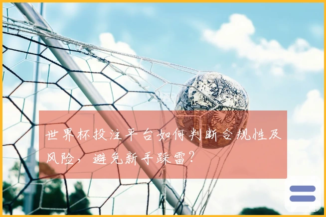 世界杯投注平台如何判断合规性及风险，避免新手踩雷？