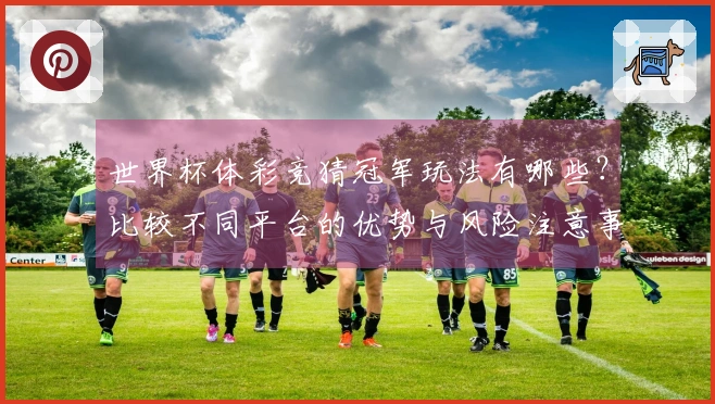 世界杯体彩竞猜冠军玩法有哪些？比较不同平台的优势与风险注意事项