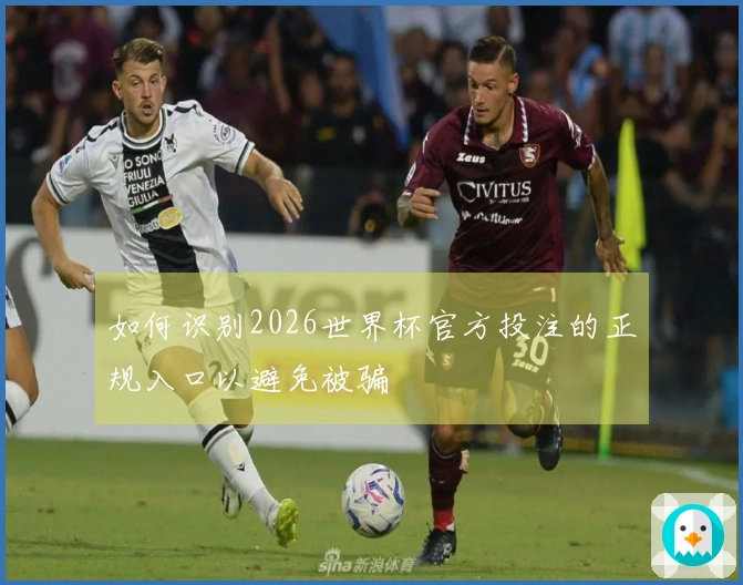 如何识别2026世界杯官方投注的正规入口以避免被骗