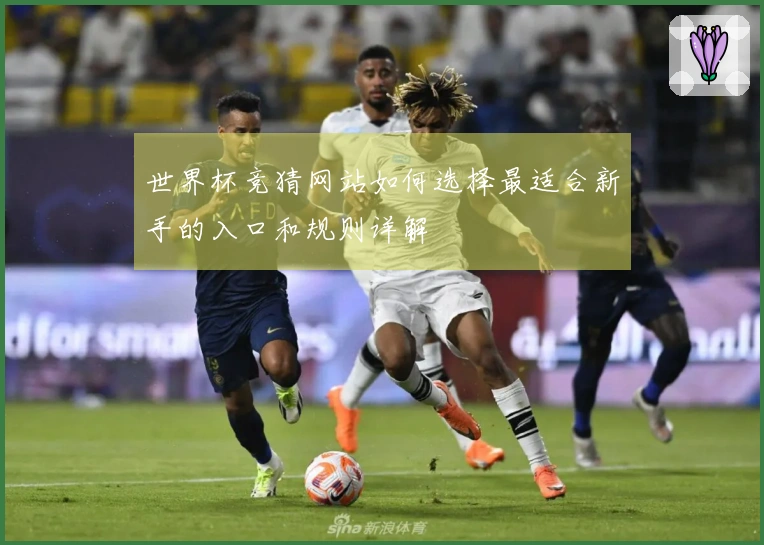 世界杯竞猜网站如何选择最适合新手的入口和规则详解