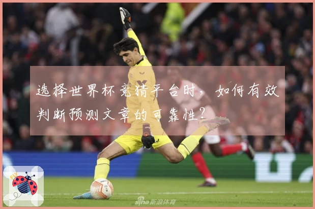 选择世界杯竞猜平台时，如何有效判断预测文章的可靠性？