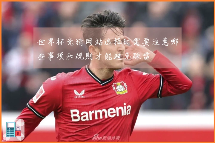 世界杯竞猜网站选择时需要注意哪些事项和规则才能避免踩雷