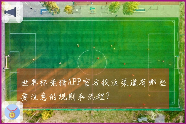 世界杯竞猜APP官方投注渠道有哪些要注意的规则和流程？