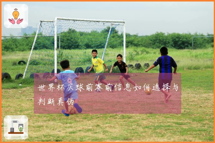 世界杯买球前赛前信息如何选择与判断真伪