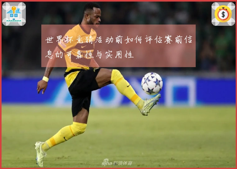 世界杯竞猜活动前如何评估赛前信息的可靠性与实用性