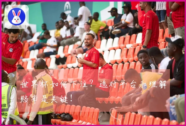 世界杯如何下注？选对平台和理解赔率是关键！