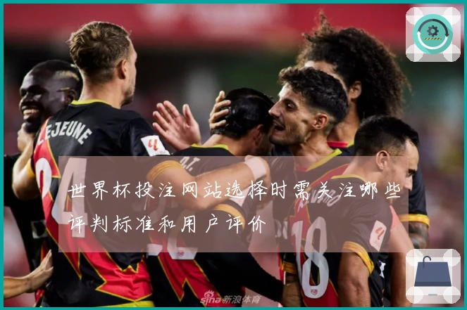 世界杯投注网站选择时需关注哪些评判标准和用户评价