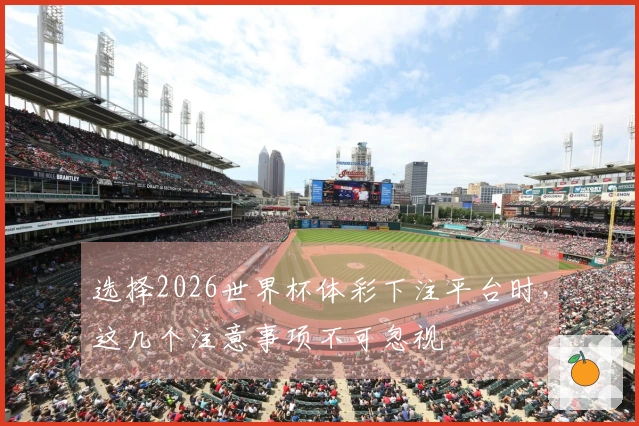 选择2026世界杯体彩下注平台时，这几个注意事项不可忽视