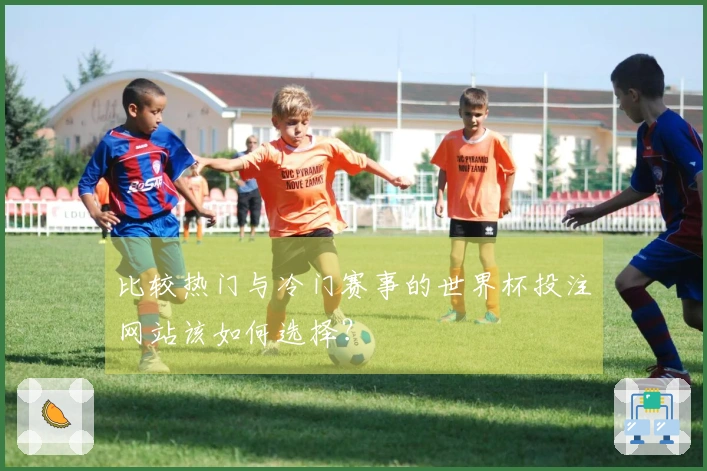 比较热门与冷门赛事的世界杯投注网站该如何选择？