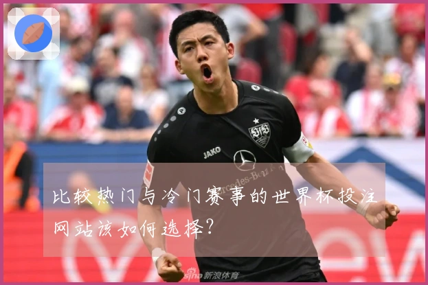 比较热门与冷门赛事的世界杯投注网站该如何选择？
